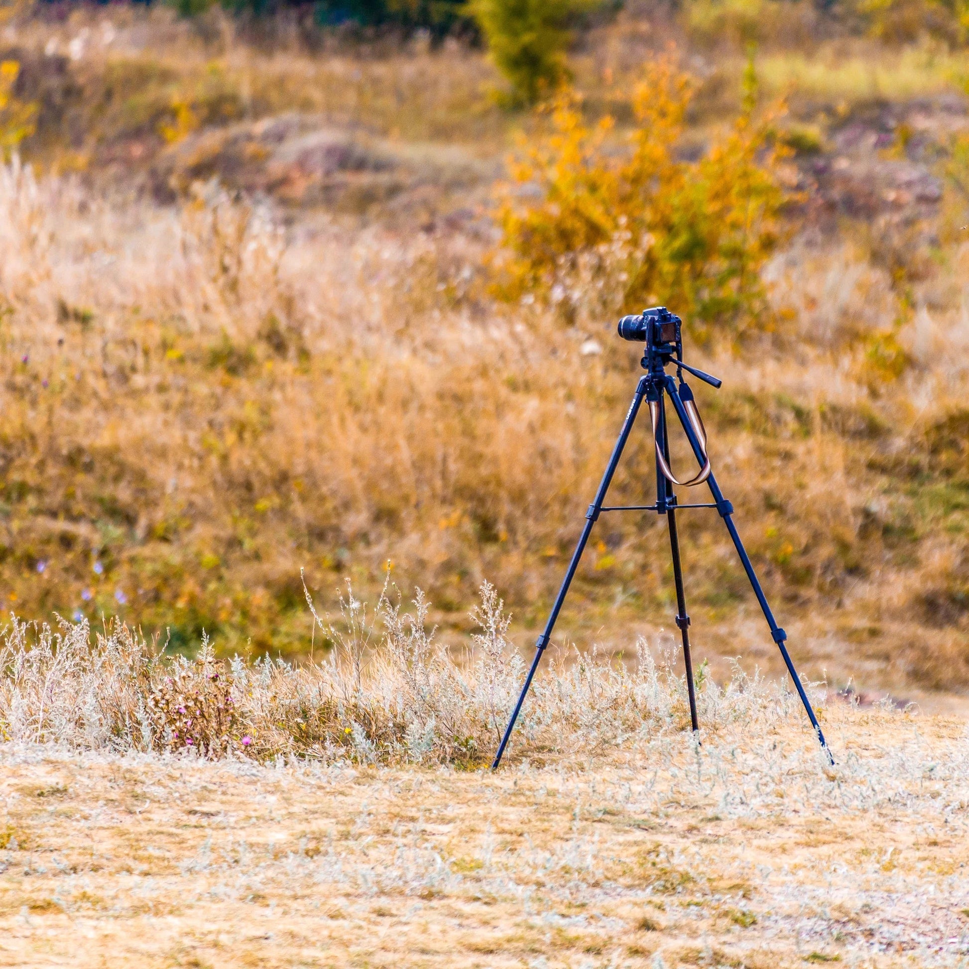 Digital Tripod | AF12440