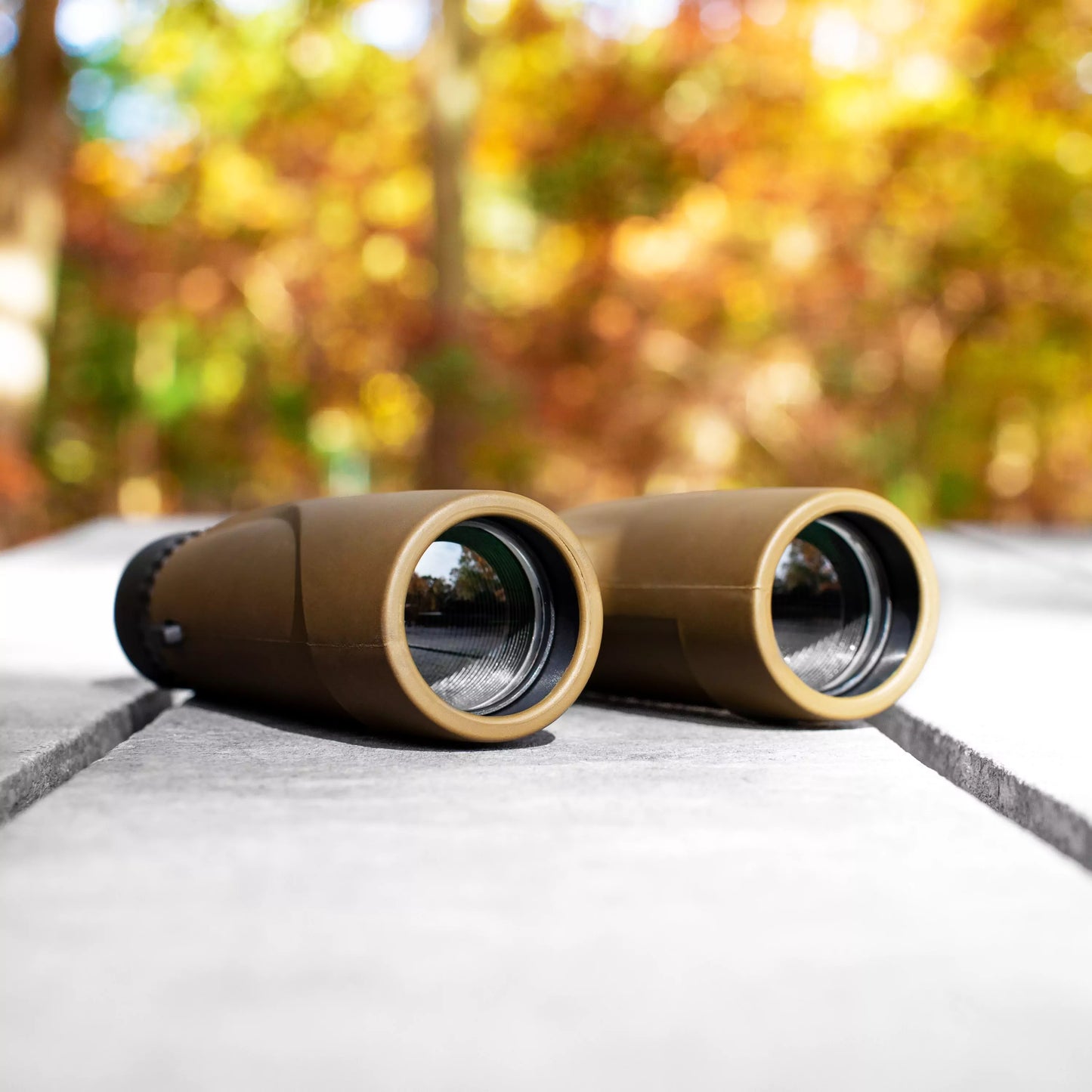 Carson Stinger 12x32mm Binoculars